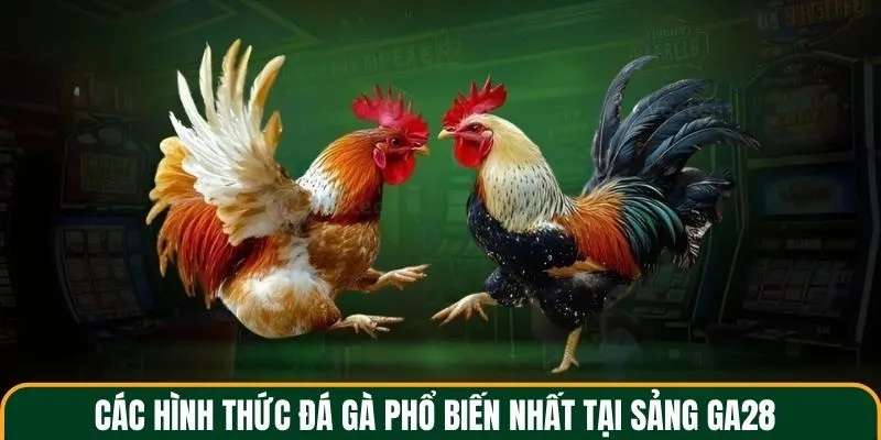 Các hình thức đá gà phổ biến nhất tại sảnh GA28