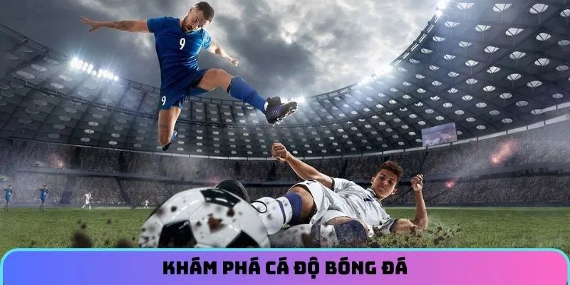 Giới thiệu chung về cá độ bóng đá