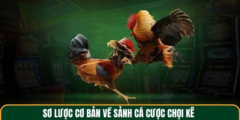 Giới thiệu về sảnh đá gà GA28