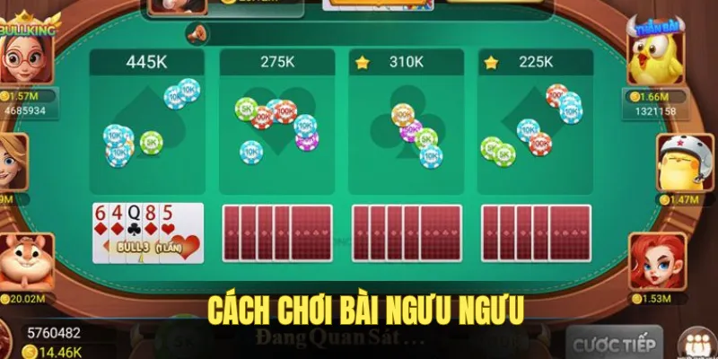 Cách chơi bài ngưu ngưu rõ ràng cần bạn hiểu