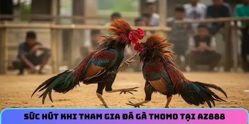 Lợi ích tuyệt vời khi tham gia đá gà Thomo tại AZ888
