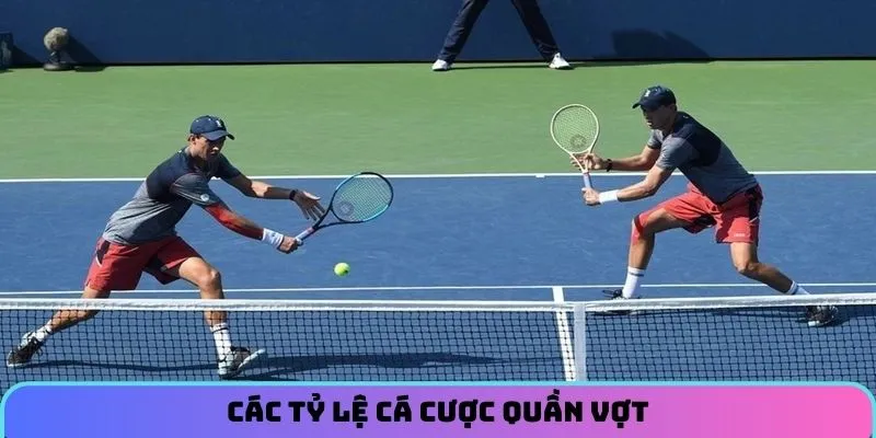 Một số tỷ lệ cá cược quần vợt được săn đón nhất