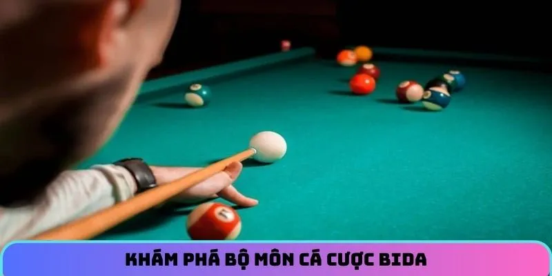 Giới thiệu về cá cược bida