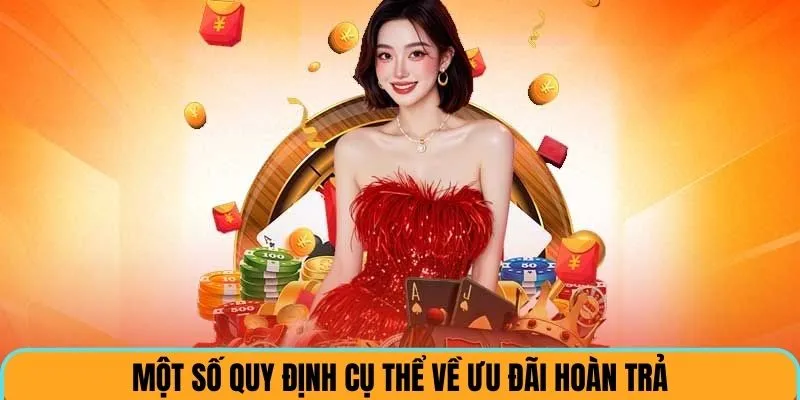 Một số quy định cụ thể về ưu đãi hoàn trả