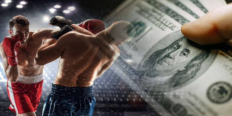 Hướng dẫn tham gia cá cược quyền anh tại AZ888