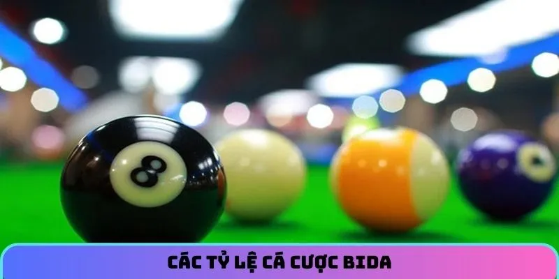 Liệt kê một số tỷ lệ cá cược bida được săn đón nhất