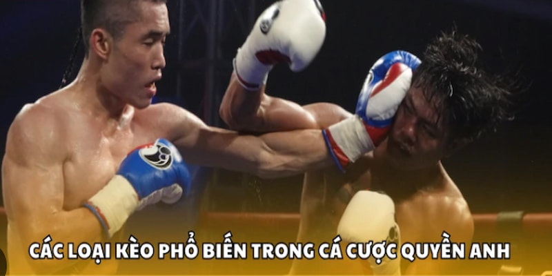 Một số kèo cược quyền anh thường gặp