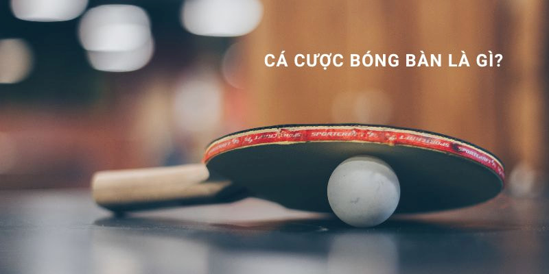 Thông tin chung về loại hình cá cược bóng bàn