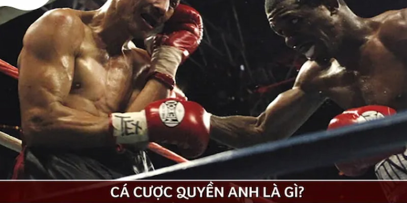 Thông tin chung về loại hình cá cược quyền anh