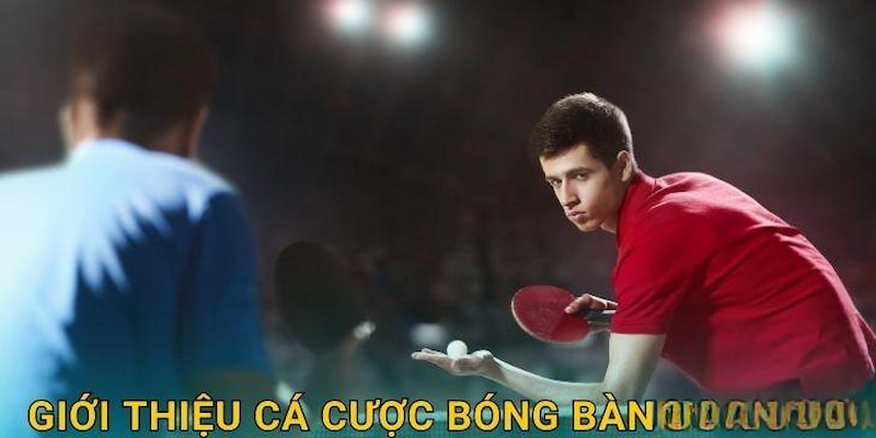 Tổng hợp kèo chơi Ping Pong